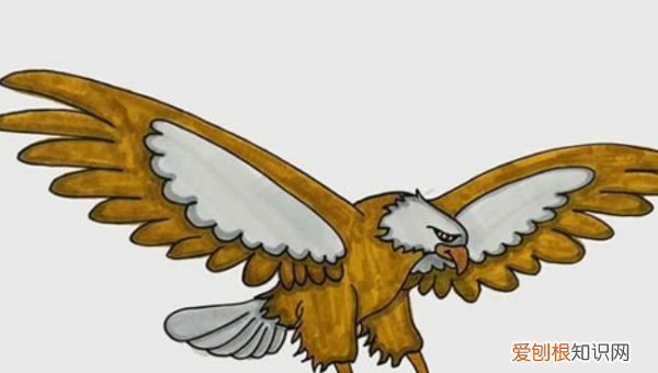 鹰怎么画，老鹰怎么画霸气