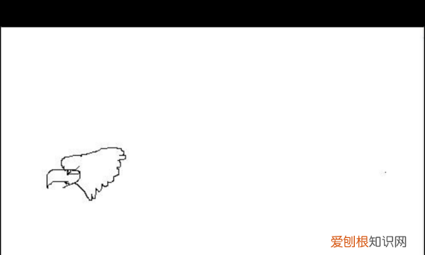 鹰怎么画，老鹰怎么画霸气