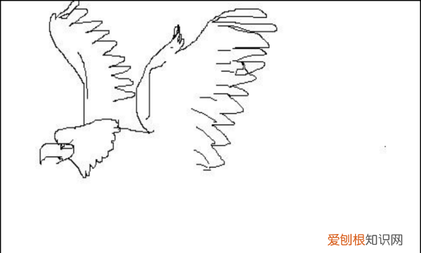 鹰怎么画，老鹰怎么画霸气