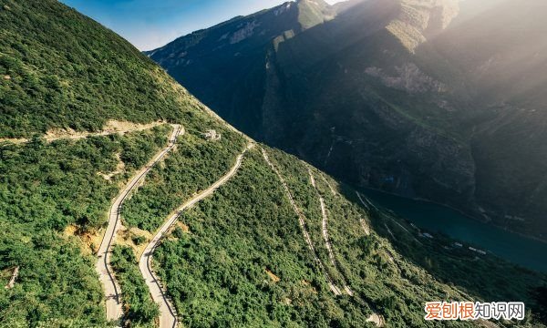 驾驶证降级需要什么手续,驾驶证降级需要怎么办理