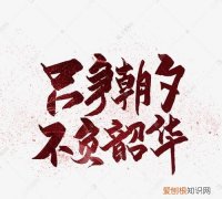 韶华的寓意，韶华已逝陌路流年寓意