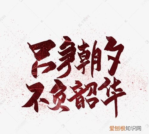 韶华的寓意,韶华已逝陌路流年寓意