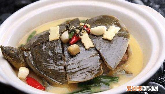 鳖的做法及吃法，鳖怎么做汤好吃的视频