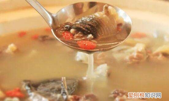 鳖的做法及吃法，鳖怎么做汤好吃的视频