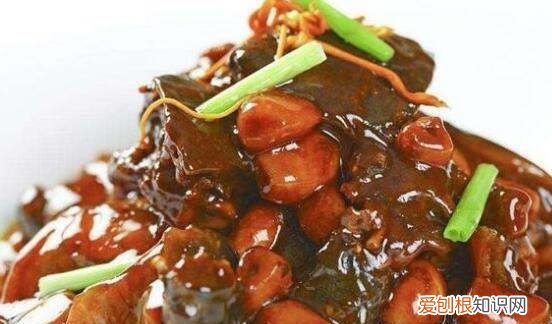 鳖的做法及吃法，鳖怎么做汤好吃的视频