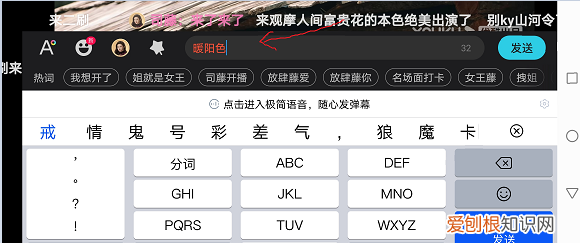 弹幕怎么发彩色字体，斗鱼怎么发送彩色弹幕