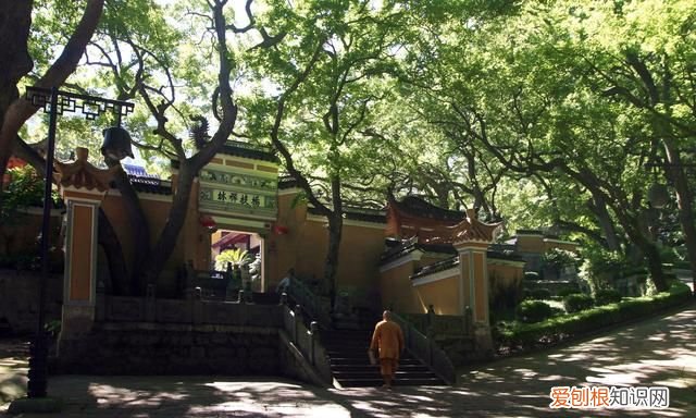 普陀山各个寺庙开放时间