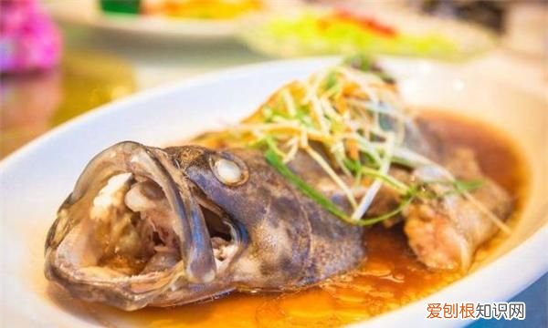 鱼是怎么分辨味道的