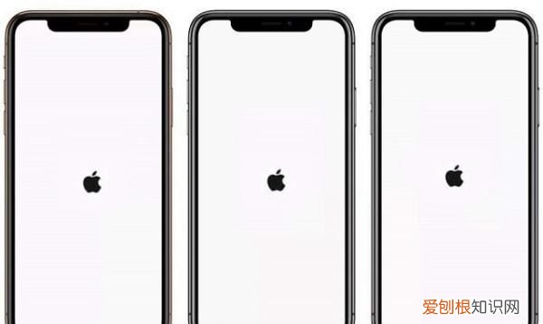 苹果xr黑屏怎么办,苹果xr手机黑屏打不开怎么办