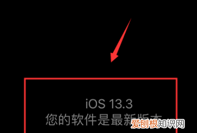 苹果xr黑屏怎么办,苹果xr手机黑屏打不开怎么办