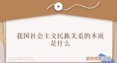 我国民族关系的本质特征是哪些