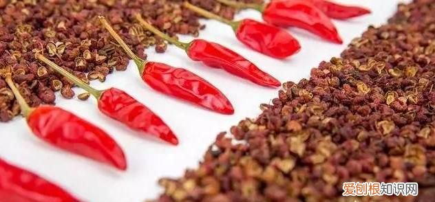 家里有蟑螂怎么处理