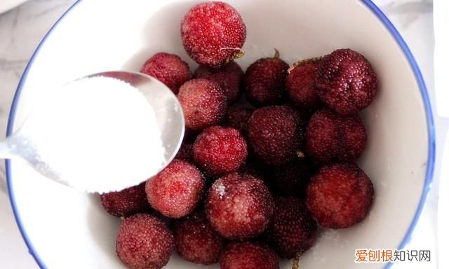 怎么洗才能使杨梅的小虫洗出来