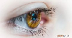 人的眼睛有多少像素，人的眼睛先看到像素是多少