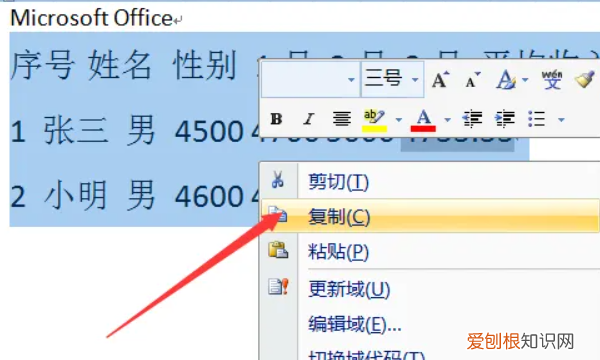 Word要怎么转换成Excel表格