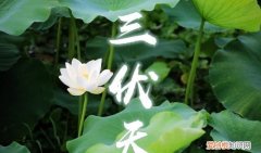 三伏天哪伏最热，三伏天北京几伏最热