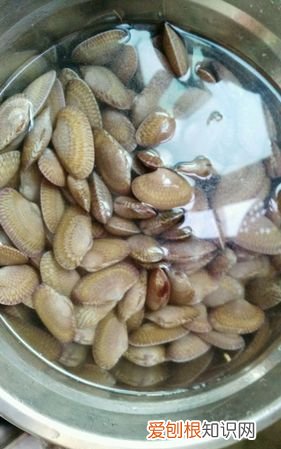 花甲吐沙要多久，花甲一般吐沙多长时间