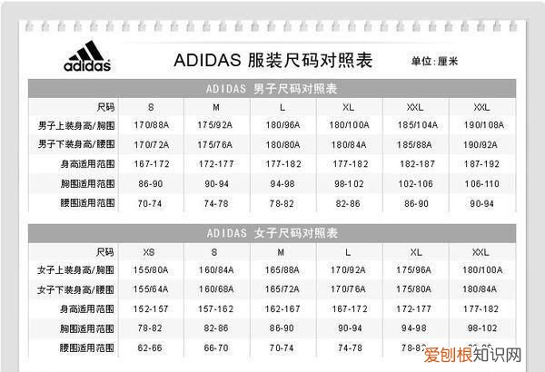 l码的衣服是多大尺寸