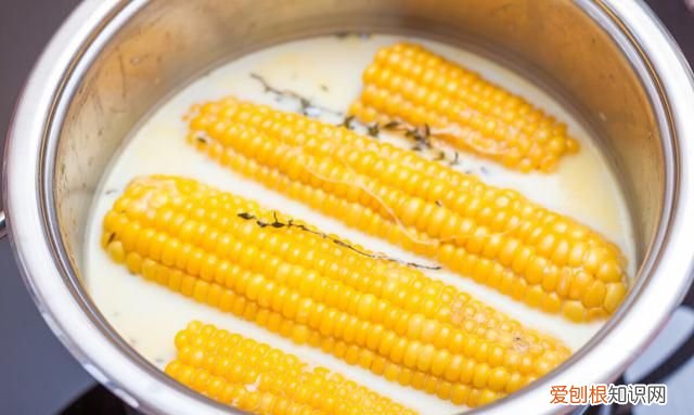 玉米冷水下锅要煮多久才熟