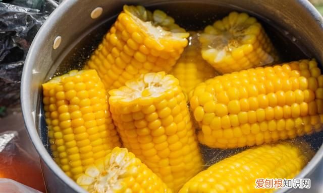 玉米冷水下锅要煮多久才熟