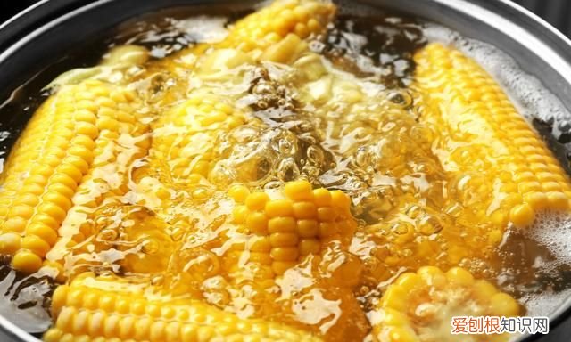 玉米冷水下锅要煮多久才熟