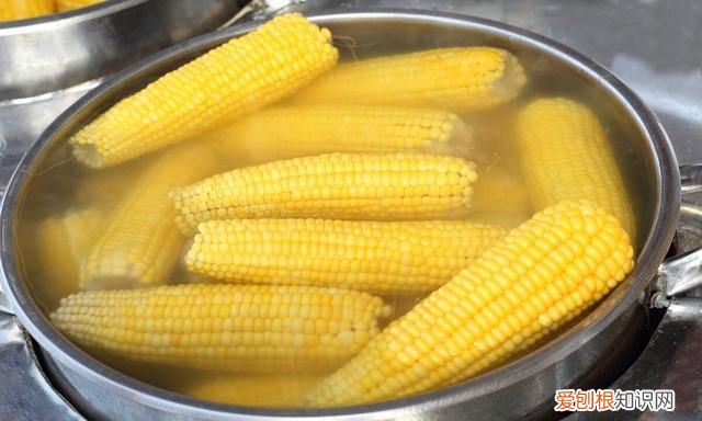 玉米冷水下锅要煮多久才熟