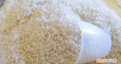 大米在几月份容易长虫，下半年米几月份不会出虫