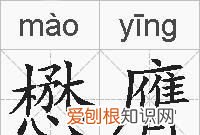 懋怎么读，[懋]这个字怎么读