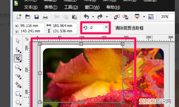 cdr中怎么剪裁图片，cdr中裁剪工具怎么用