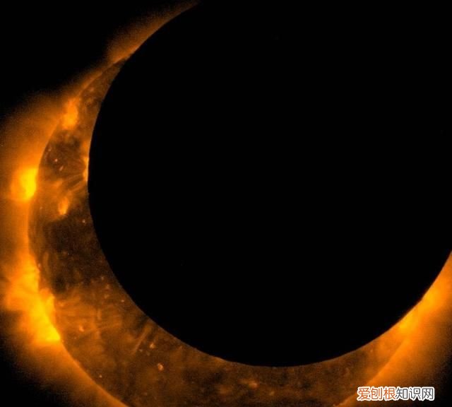 地球上可以看到日全食吗