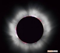 地球上可以看到日全食吗