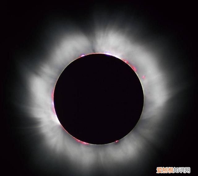 地球上可以看到日全食吗