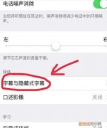 苹果手机字体大小应该怎么才可以设置