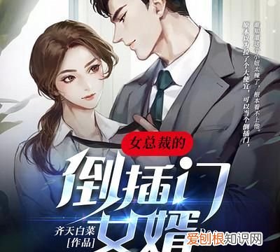 总裁姑爷来城里迷路了书名是什么