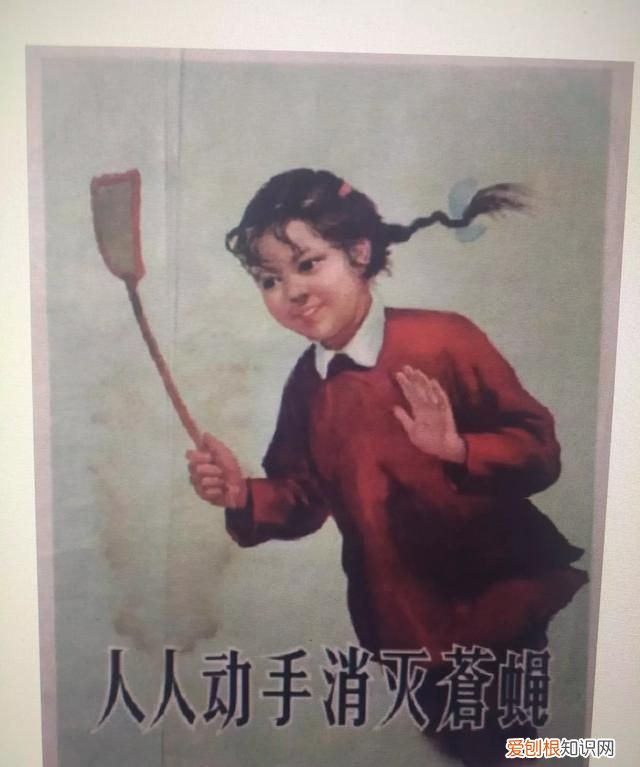 厕所灭苍蝇最有效的方法