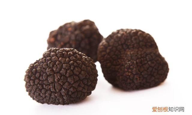 松露除了贵这些你可能还不知道,松露有什么口感