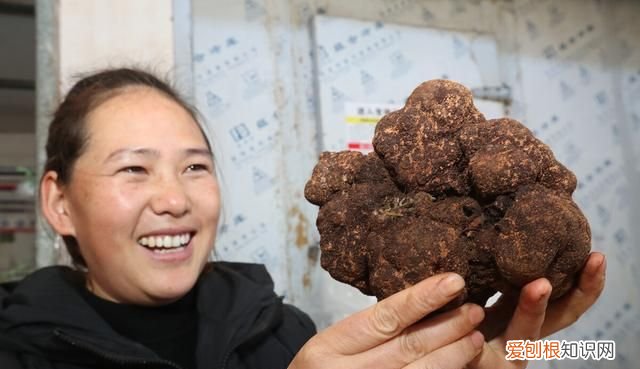 松露除了贵这些你可能还不知道,松露有什么口感