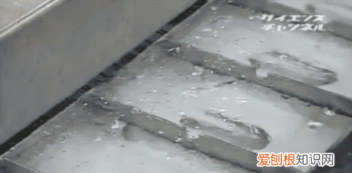 如何制作纯透明的冰块，如何制作出透明冰块