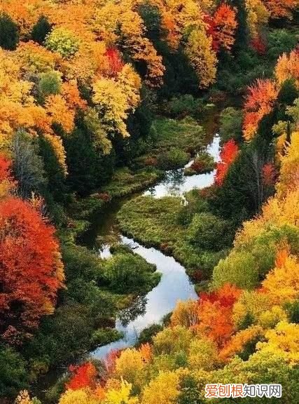 昨夜谁为吴会吟下一句，古诗词或现代文中带有“清秋”的有哪些