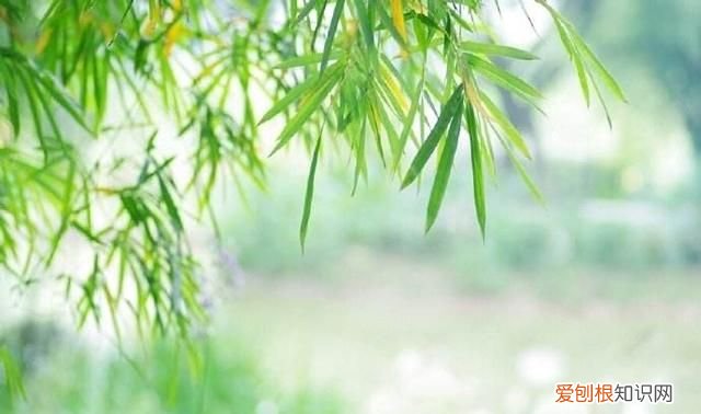 昨夜谁为吴会吟下一句，古诗词或现代文中带有“清秋”的有哪些