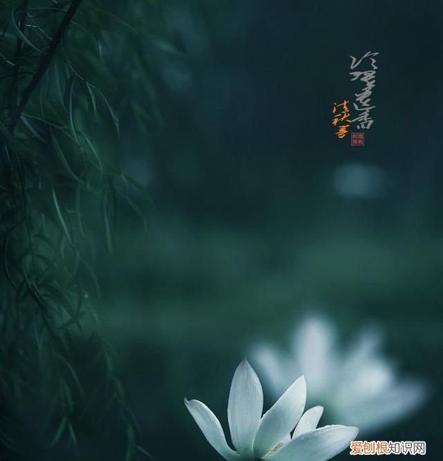 昨夜谁为吴会吟下一句，古诗词或现代文中带有“清秋”的有哪些