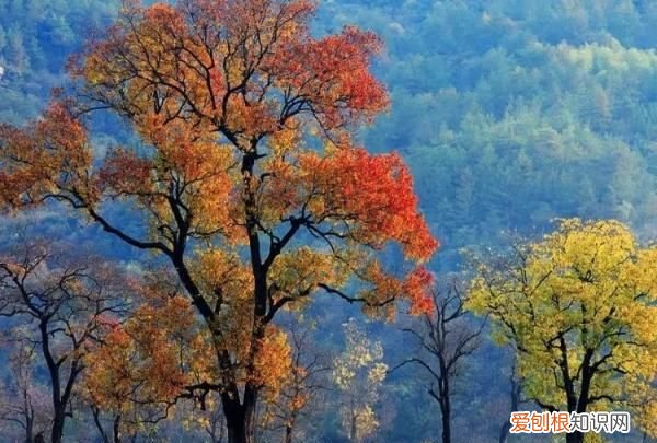 黄冈旅游景点有哪些，在黄冈有哪些景区值得一去呢