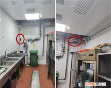 家里厨房有老鼠怎么办，厨房有老鼠放怎么处理最有效