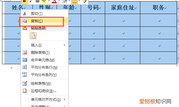 Word可以如何转换成Excel表格