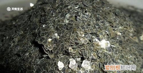 云母是什么,云母最显著的特点是什么