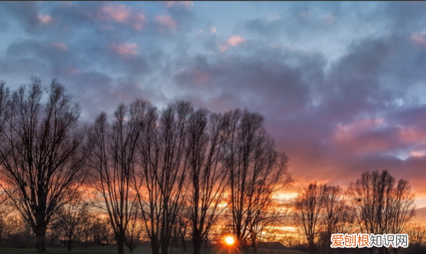 ps怎么画五角星并填充,用ps画五角星的方法是什么