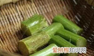 霉苋菜梗的制作方法，腌苋菜梗的做法大全