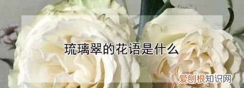 若翠的寓意，“见羞容敛翠”中的“翠”意思是
