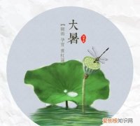 大暑节气特点，大暑的景物特点是什么