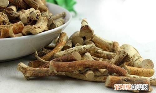 五指毛桃的功效与作用 禁忌，五指毛桃的功效与作用及禁忌